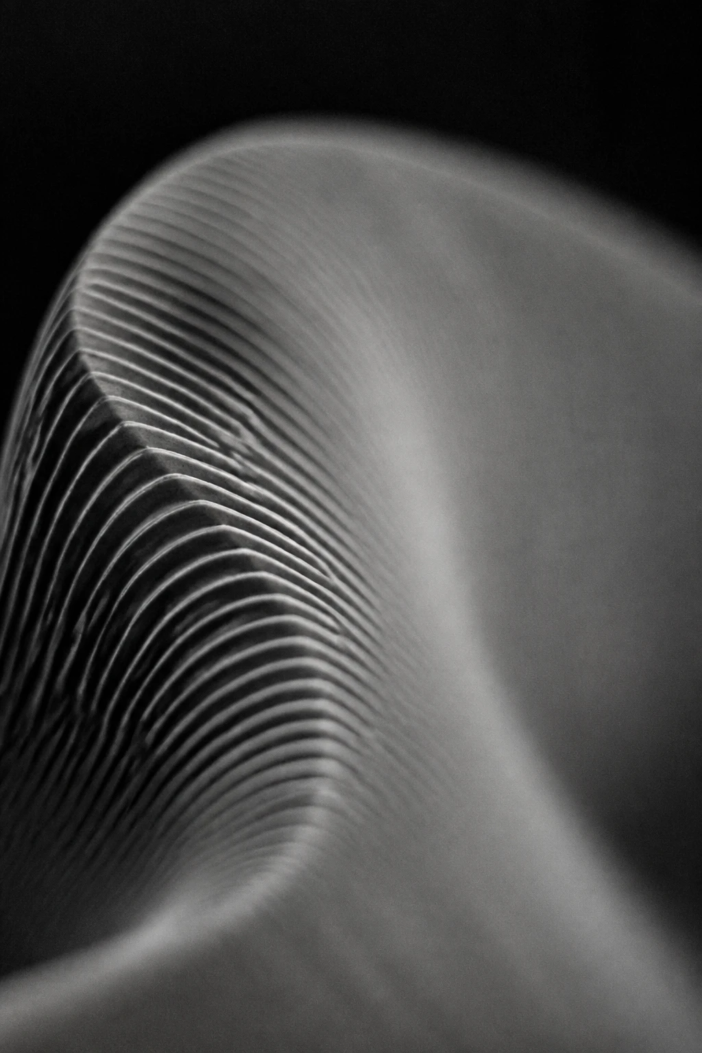 A curved fold in a pale ribbed surface, the ribs bending around the curve