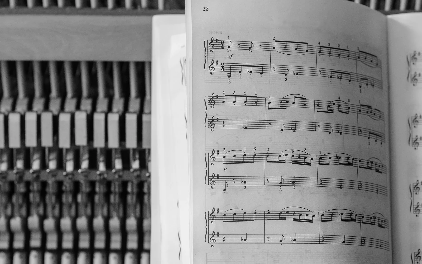 Inquadratura verticale di corde di pianoforte e spartiti, che evidenzia l'armonia musicale