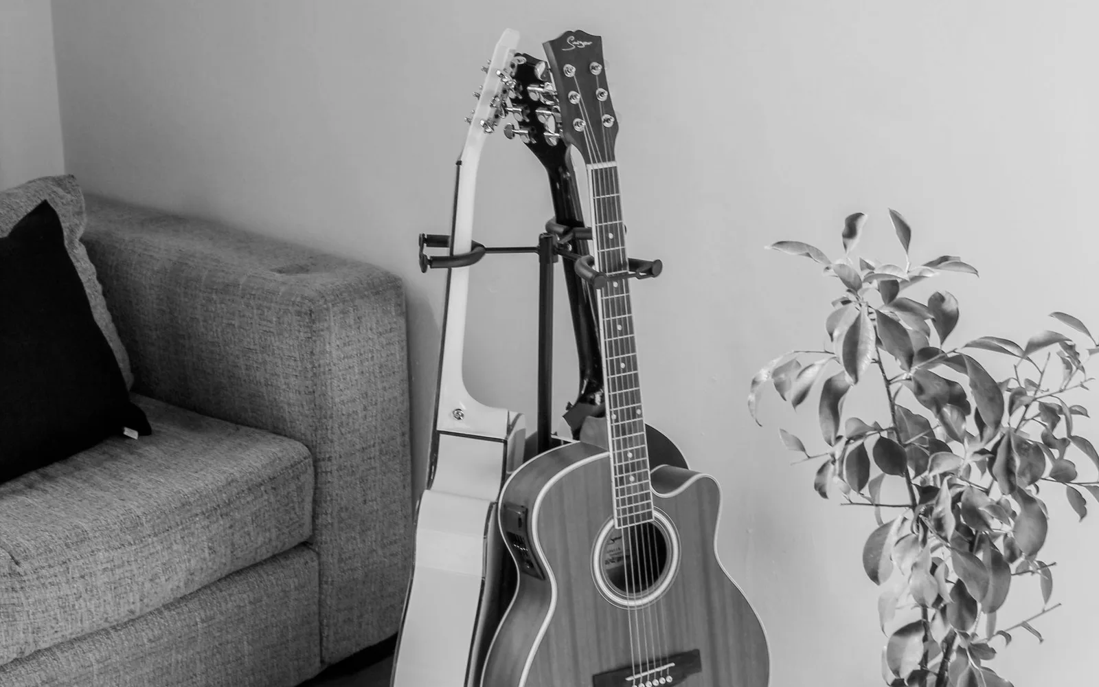 Ett mysigt vardagsrumshörn med akustiska gitarrer på ett ställ bredvid en grön krukväxt