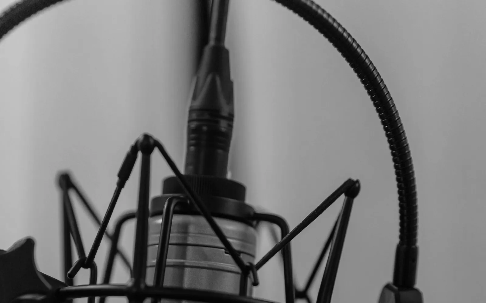 A recording microphone positioned behind a round pop filter
