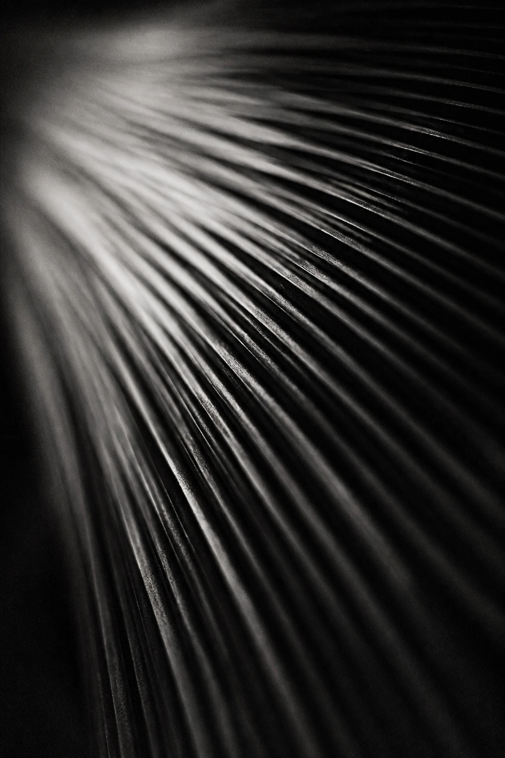 Fine ridges fanning out from a bright point, like light raking across a pleated surface