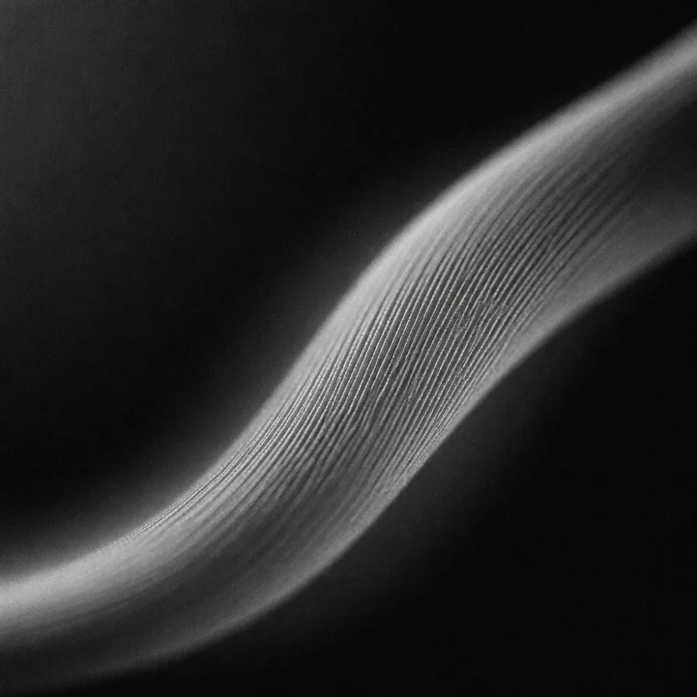 Soft folds catching light