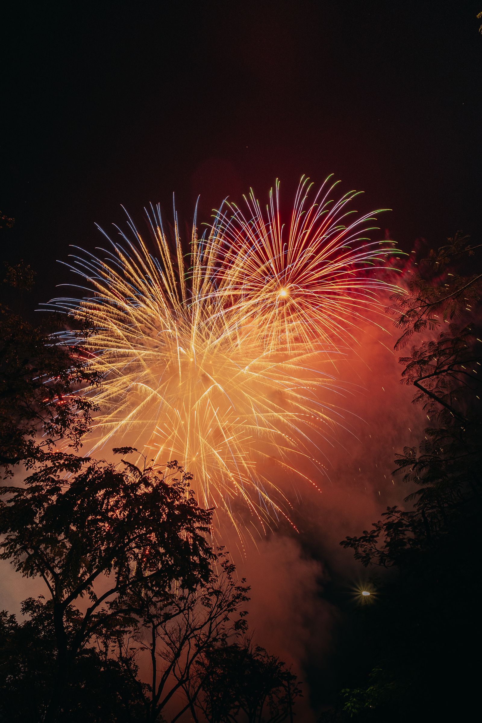 Fireworks lighting up the night sky during a New Year's celebration